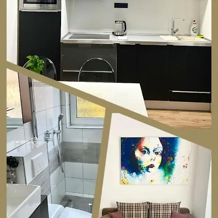Brno- Bbq Terrace Apartman *